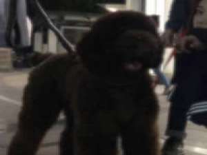 我很懒 懒到连心里的那个人都懒得换. 我们没有任何选择的余