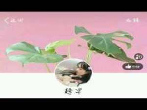 头像+背景+望喜照顾好你那黑色的头发挑剔... 其实我只是一个绝望孤