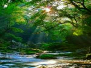 你哦了之后我就没打算