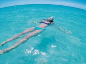 toptop！！蓝草 对你依旧那么依赖那么