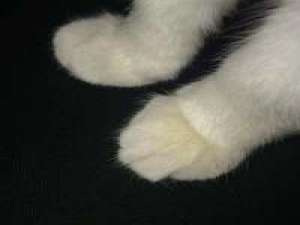 拿图给花。 当初是你先打扰的我现