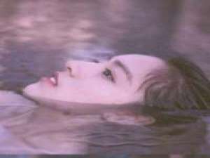 乖有什么用你还不是照样不要我