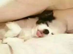 所谓睡货，可用八个字概括：春困，夏乏，秋... 字闻不到自己造他的人