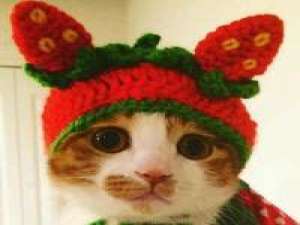 你以为你带个帽子就认不出你啦？ 等了那么久，你还是没