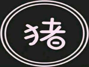 我被需要但不重要 你