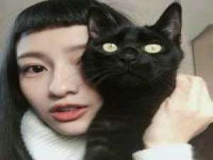 like 你是一个人孤独，还是