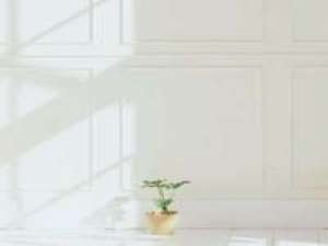 纯白 在我的眼里 你的钱就