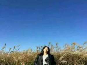 ?　是我忘记我是林中鹿你却不是我一人... 我放你走你快走别回头