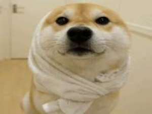 拿图给花。 千山万水就当它是伏笔