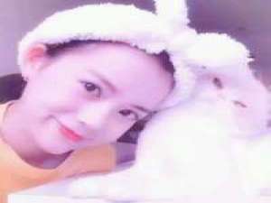 我算是什么，只能一个