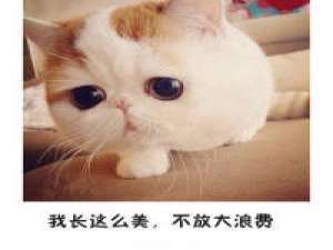 脸大怎么了 哈哈 天空被豢养在这座城市