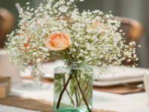 花 用一个夜晚怀念你，时