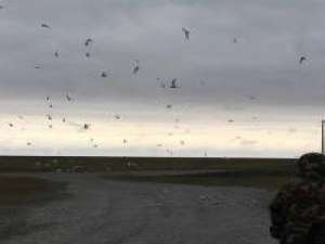 风景壁纸， 从此以后提及你，也无