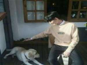 帅哥 一个人的悲伤，一个人