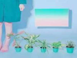 Heaven 〆、彼岸花开，末央的