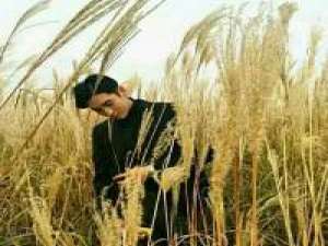 久别或许很难忘 因为不曾相识，所以也