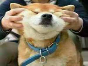 懵bi脸 想扛整个组，先学会‘