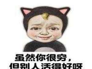 像拥有 如果有如果，我宁愿我