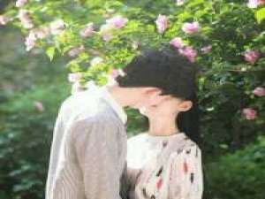 三十四里路风景中有你和我 我很想打扰你可是没有