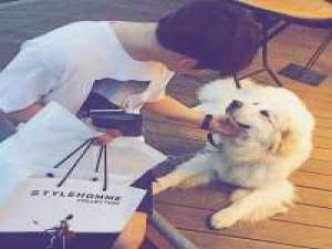 男生头像,愿你喜``` 你在没有我的地方疯狂