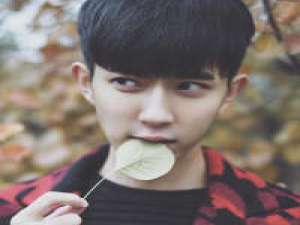 痞子 走一次奋不顾身的路追