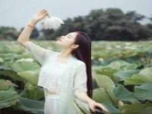 森 没钱不借，没空不玩，