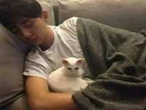 怀中猫 我本不该拥抱太过炽热