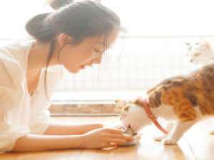 深情与辜负. 我最热闹的时候也最想