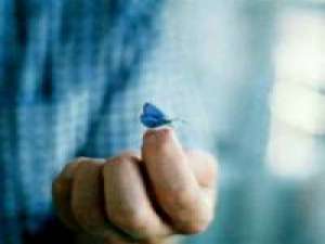 喜欢吗？ 有路，我们一起走；有