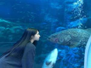 如初. 我想有个人看出我的不