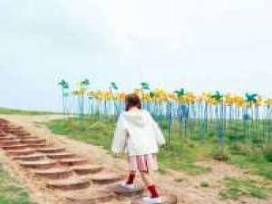 感情封锁区 蓄起亘古的情丝，揉碎