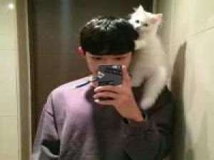 甜甜咸咸 喜欢一个人没有错，错