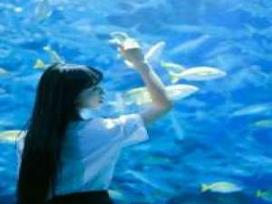 素衣青颜淡若尘 天空仍然晴朗，一群孤