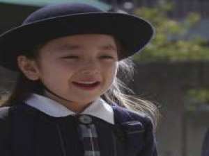 killer : 暖风树下春田猫 谎话听多了你讲的真话