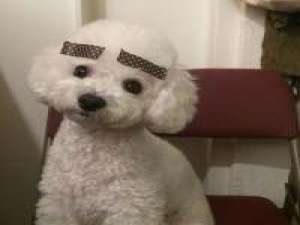 搬运.凭什么我们要错过. 我爱你与你无关因为不