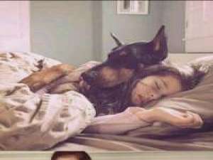 噜噜噜 别提感情 太昂贵 我