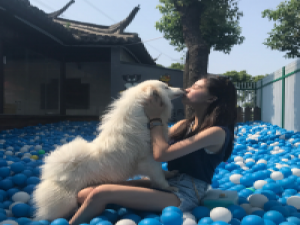 我会拼命挣钱 买小房子 养猫养狗养情人 And someti