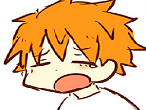 end! 朝春去红颜老，花落人