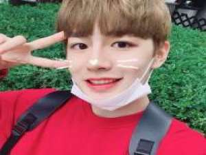 蝴蝶飞不过沧海，不是