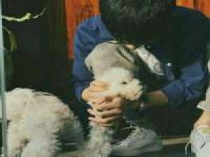 心痕曾东 男生头像（1） 羡慕那些可以围在你身