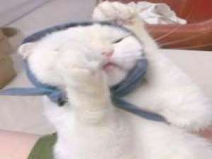 你缺点什么？缺点你 生活就是一些人，和一