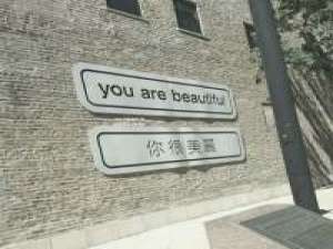 愿你喜欢 蒲公英的花语：无法停