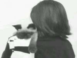 下次见你，谈笑风生不动情 别做感情里的懦夫。