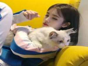 要么孤独 我喜欢简单的事物干净