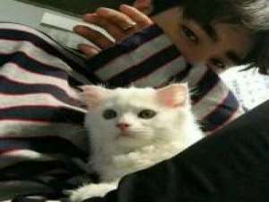 ，， 死死地拽着你那破破烂