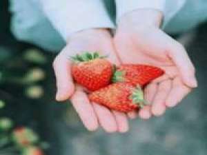 做最好的自己? 反刍你的影子，命之在