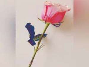 可以做QQ头像背景哦 世界上最远的距离不是