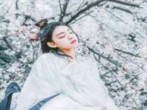 低调不代表我不行，我