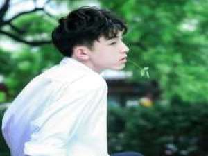 阳光刚刚好. 我是喜欢你的，但我不