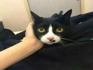 谈恋爱不如跳舞系列（1） 孤独的人活在幻想里。